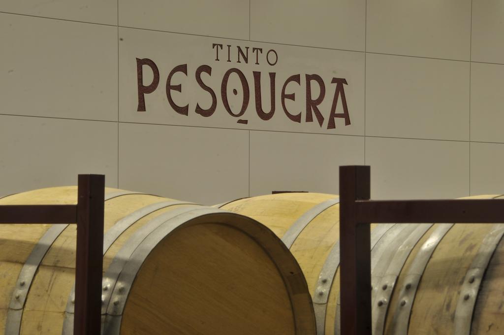 Hotel Af Pesquera Penafiel