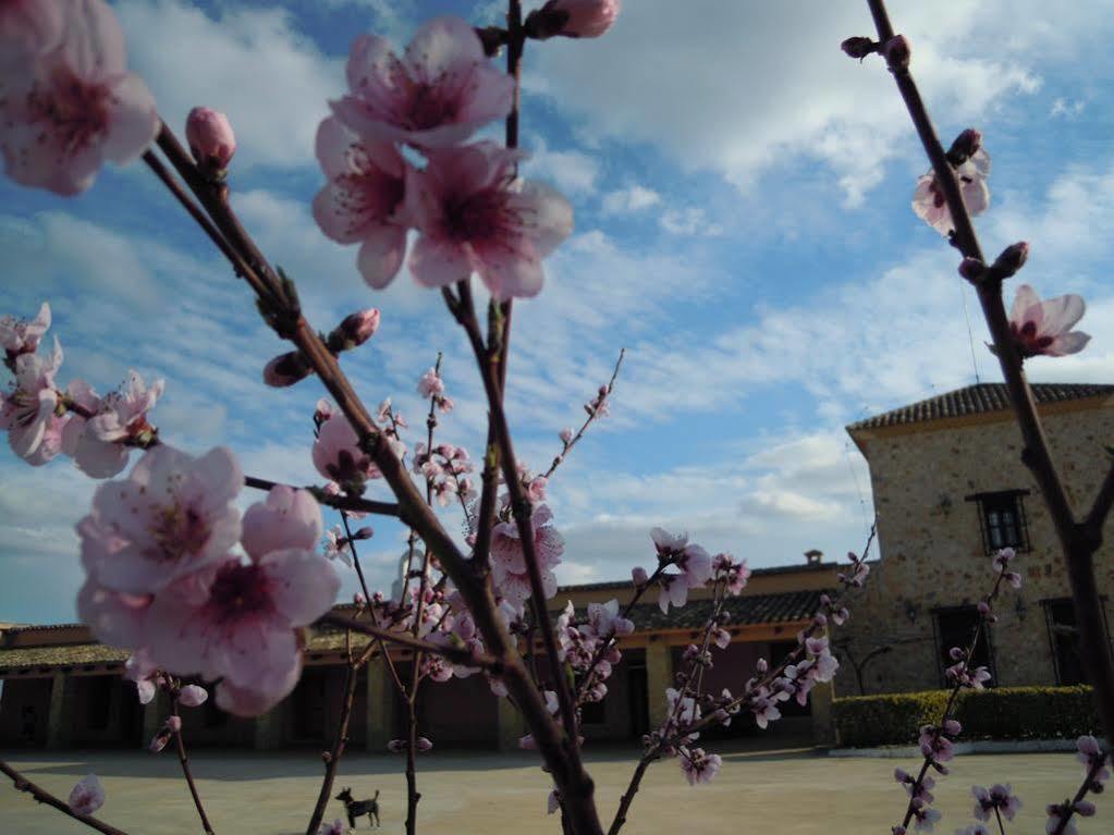 Hotel Rural La Moragona 3*