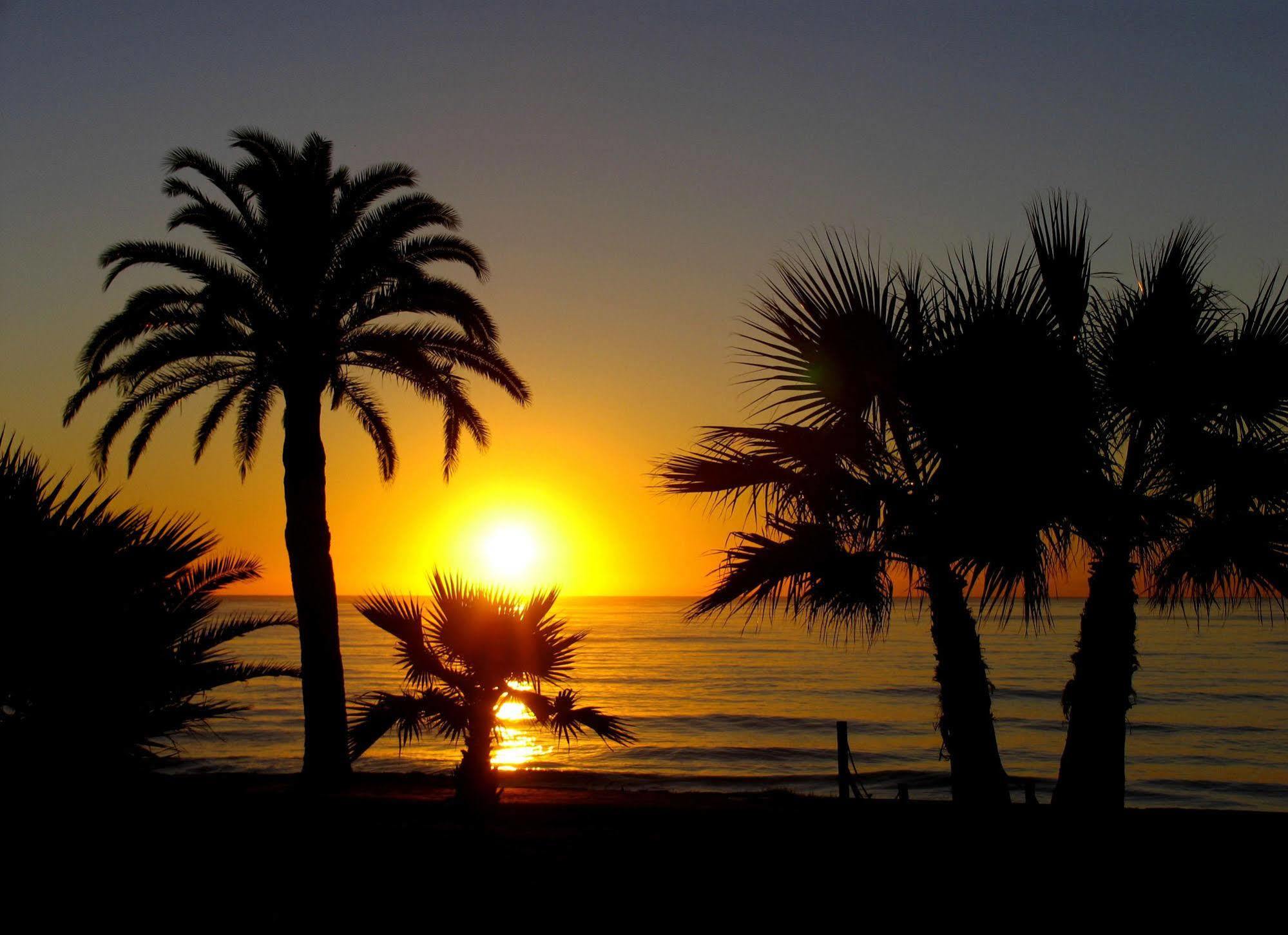 Hotel Marina D'or 2ª Linea 3*