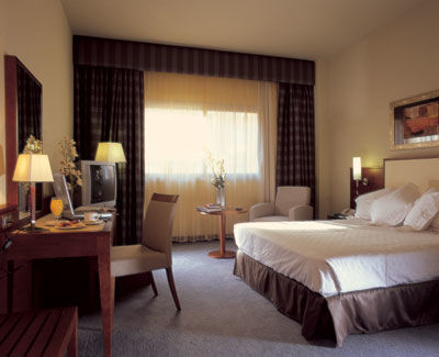 Hotel Elba Business&convention 4*