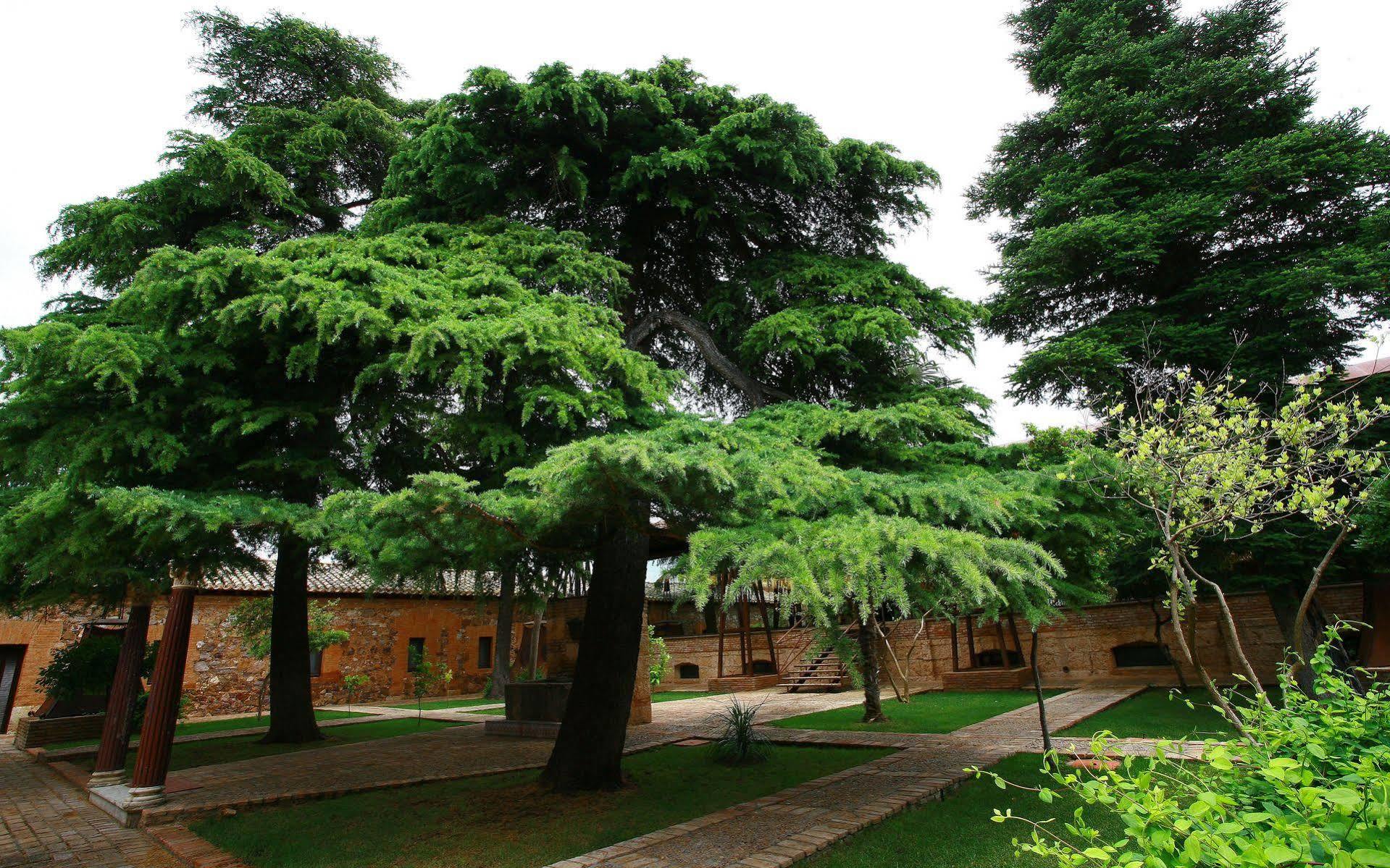 Boutique Palacio De La Serna