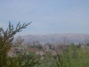 Rural La Paloma 2*