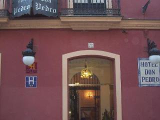 Casa Palacio Don Pedro * Sevilla