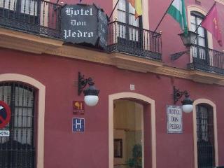 Hotel Casa Palacio Don Pedro