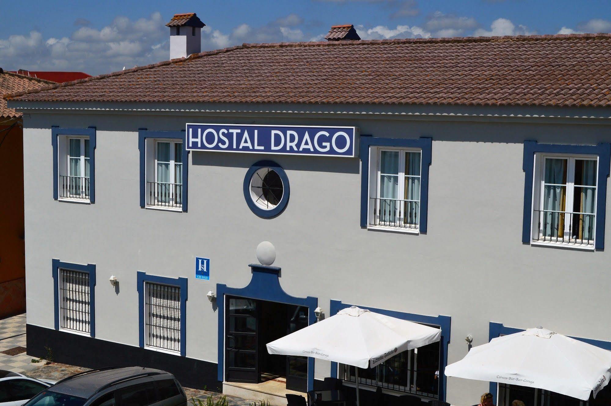 Drago Pueblo Nuevo de Guadiaro