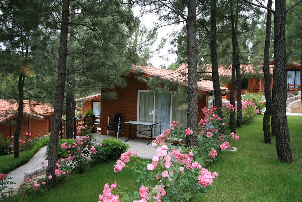 Campsite El Canto La Gallina