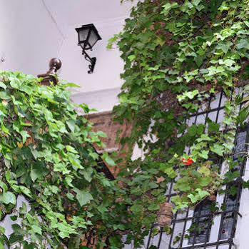 Innsa Guest house Valencia