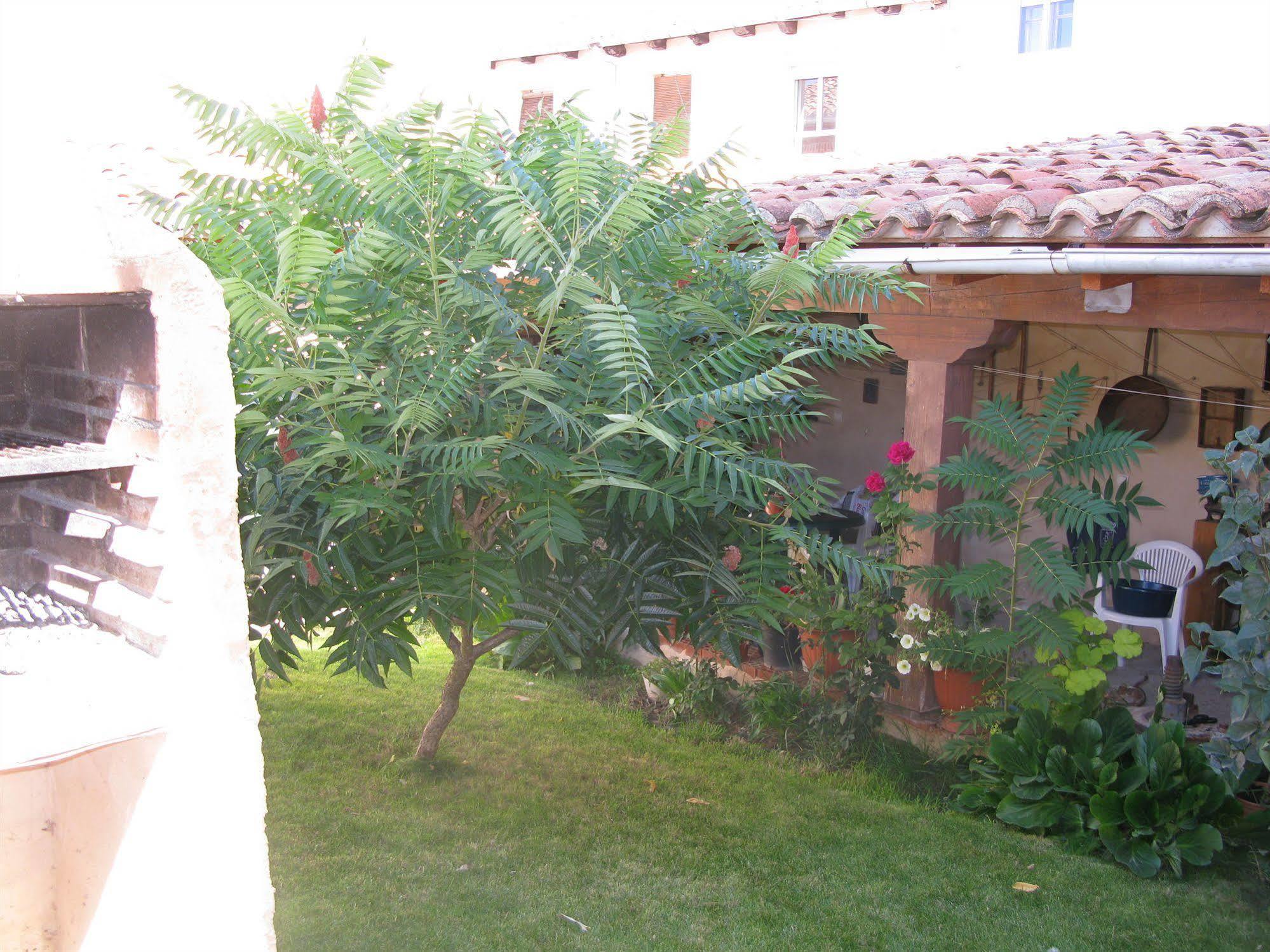 Country house Casa Rural Arturo I