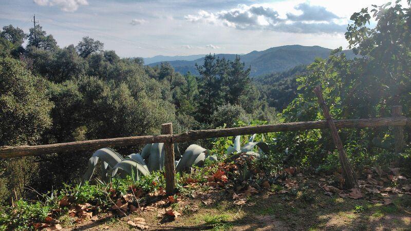 Canaleta Rural *