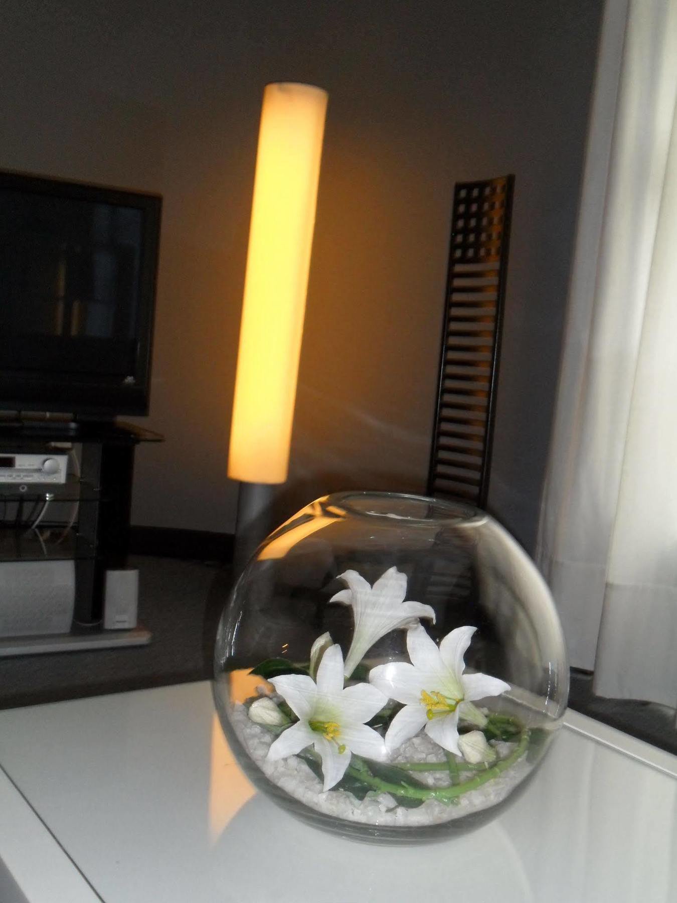 Anoeta Hotel 3*