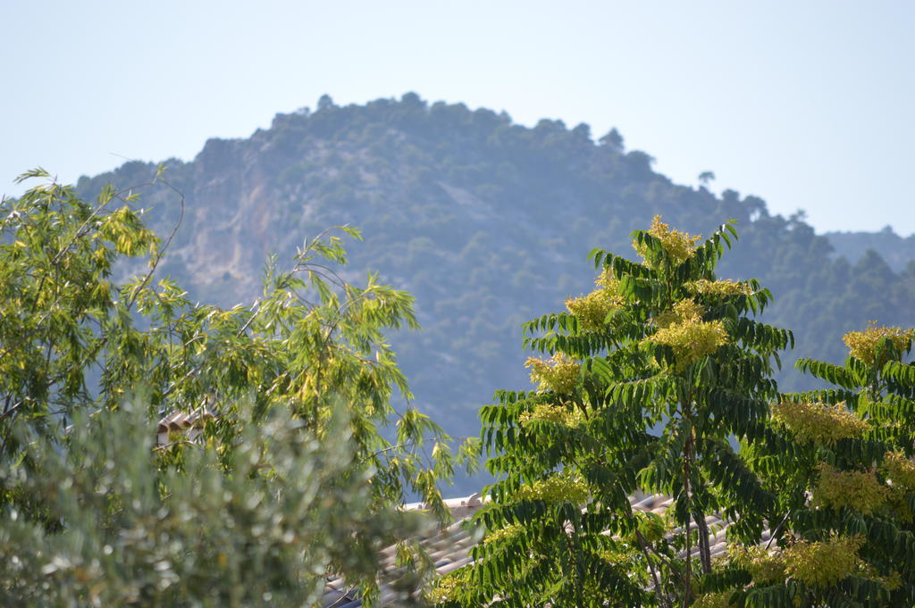Complejo Rural Ibipozo * Pozo Alcón
