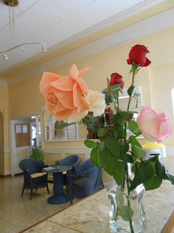 Marbella Rosas