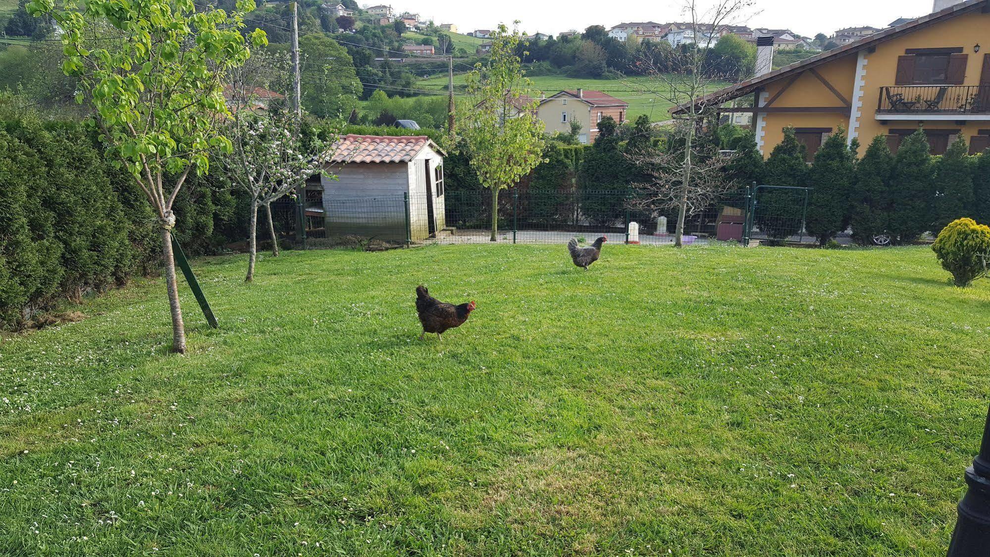 Rural Foncubierta 3*