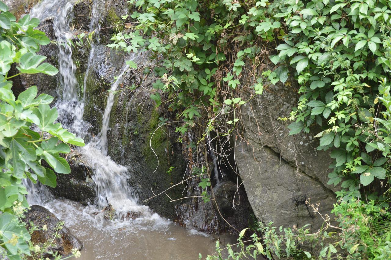 - El Sendero Banos De Montemayor