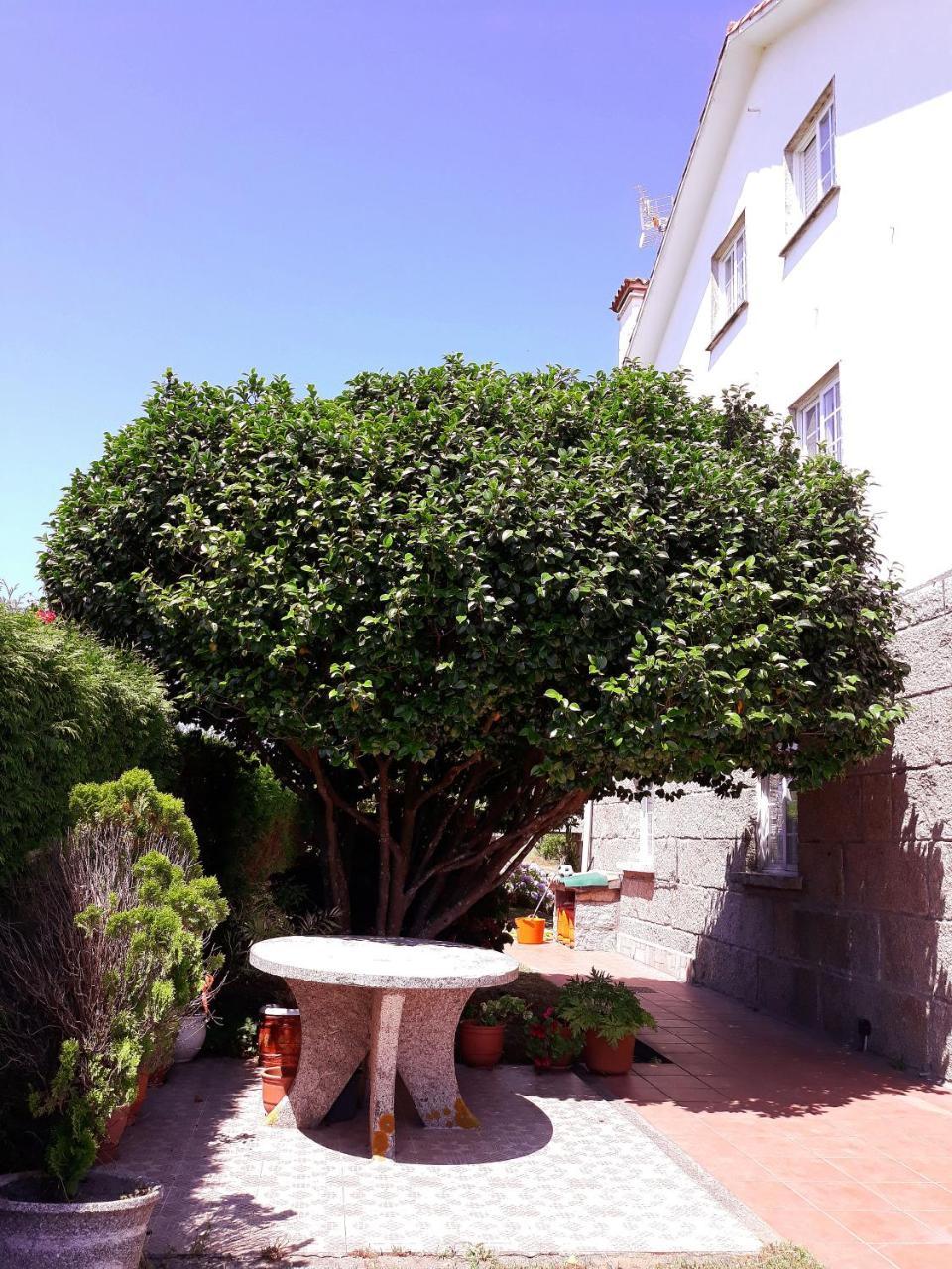 Casa Angelina Guest house O Grove