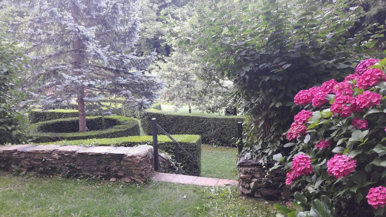 Gusi Ribes De Freser