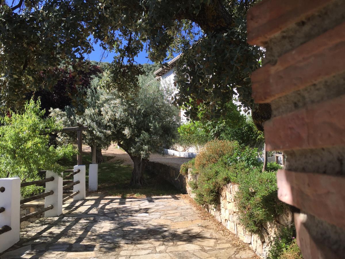 Cortijo La Fe