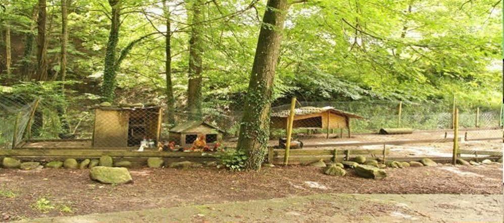 Camping Abadesses