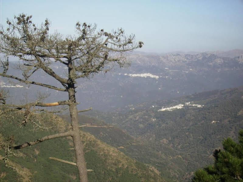 La Del Recovero