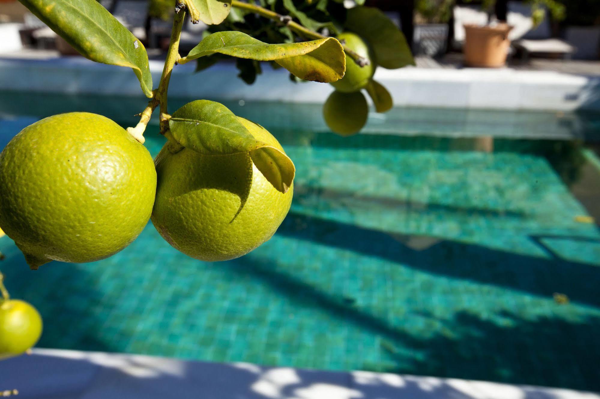 Rio Real Golf Hotel Marbella