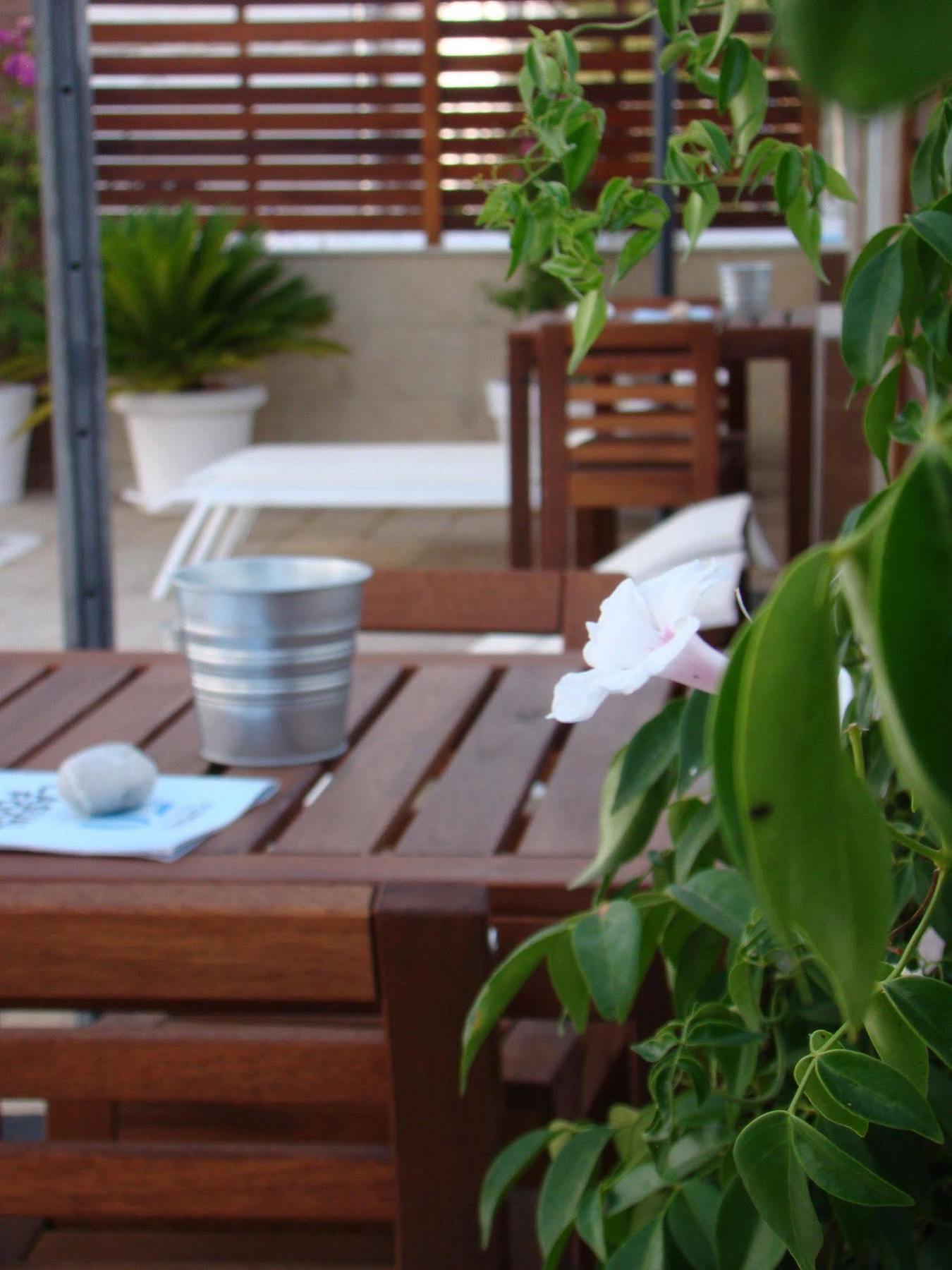 Fleming 50 - Adults Only San Antonio Abad