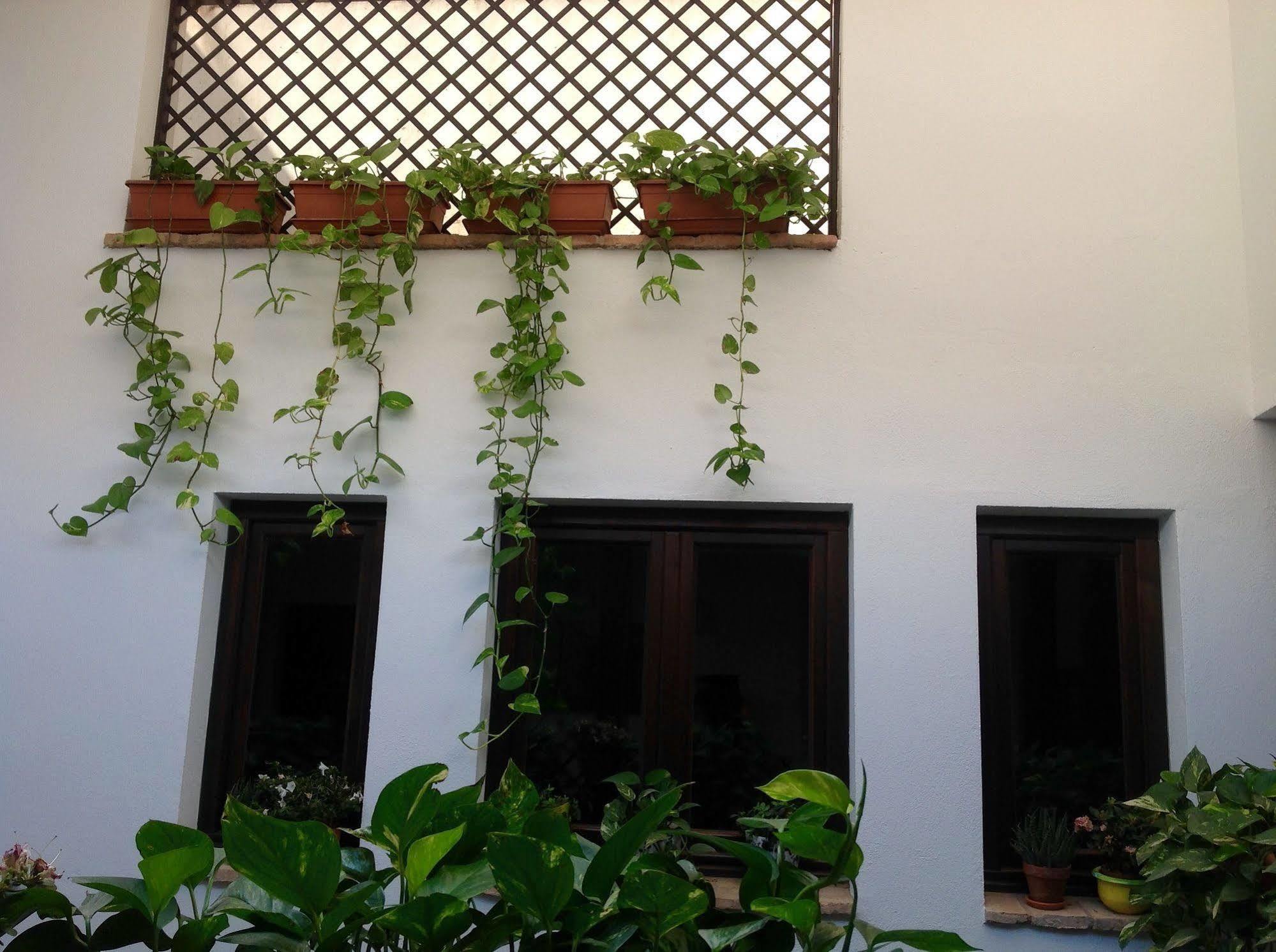 Guest house Hotel Boutique Alma Andalusi Cordoba
