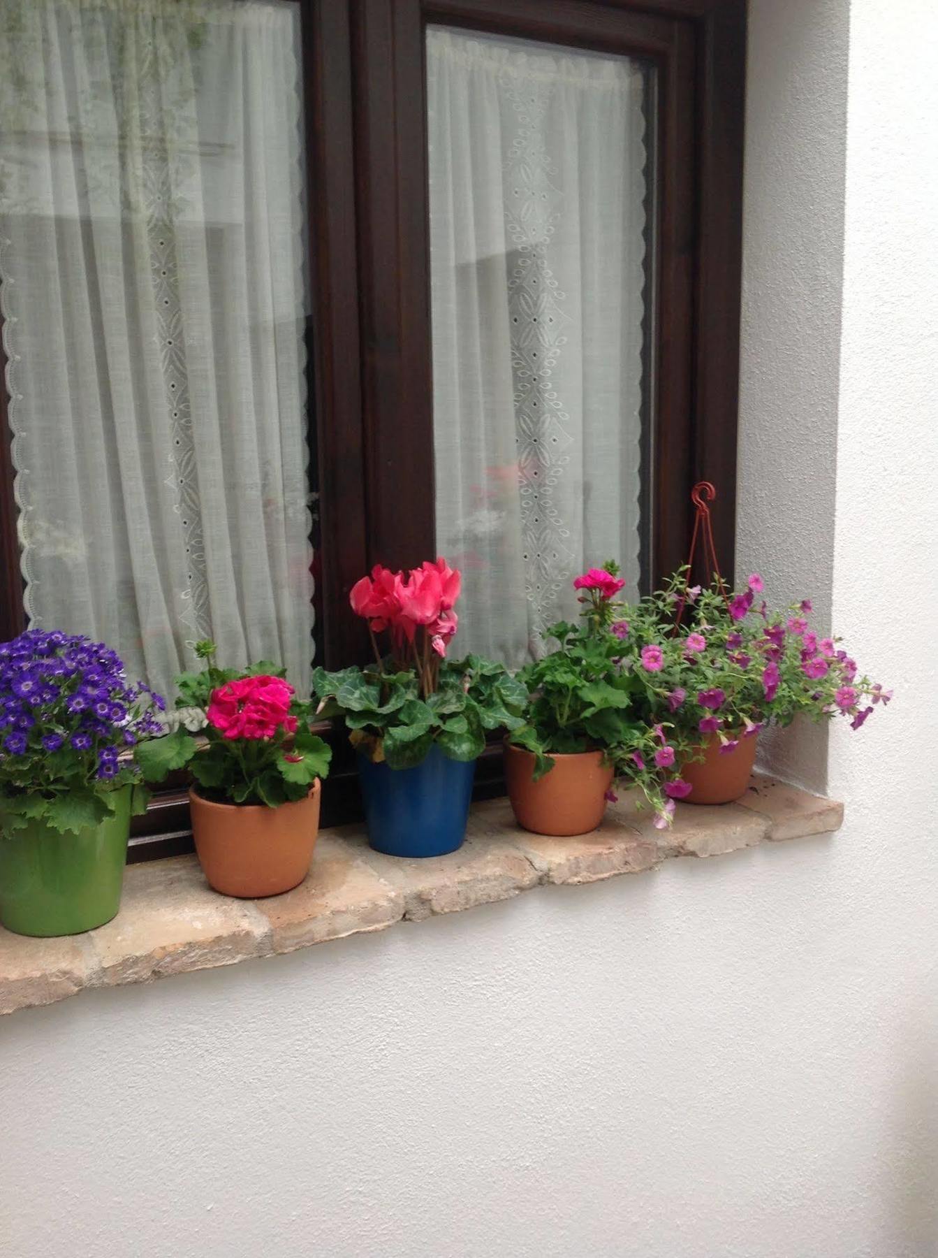 Hotel Boutique Alma Andalusi