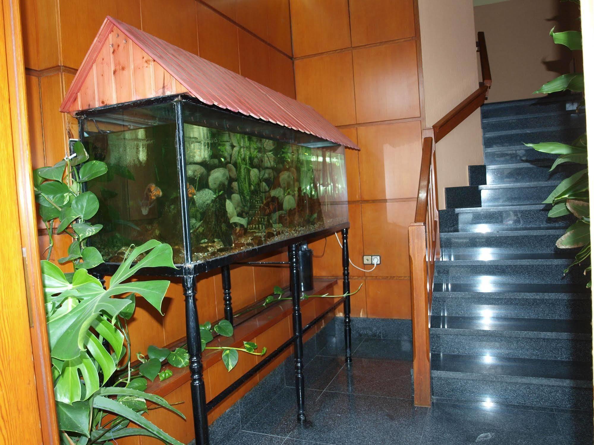 Hotel Francisco Javier