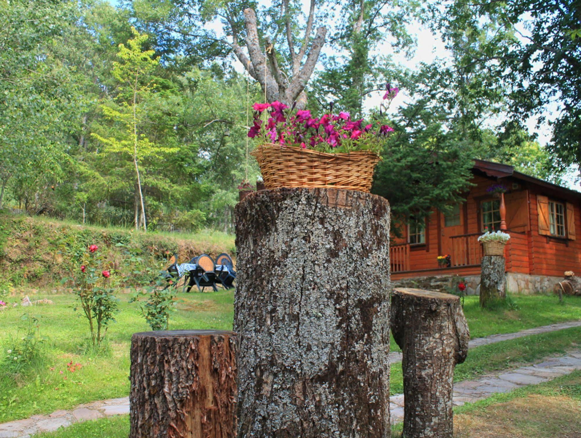 Casa rural De Madera Sanabria Vigo de Sanabria