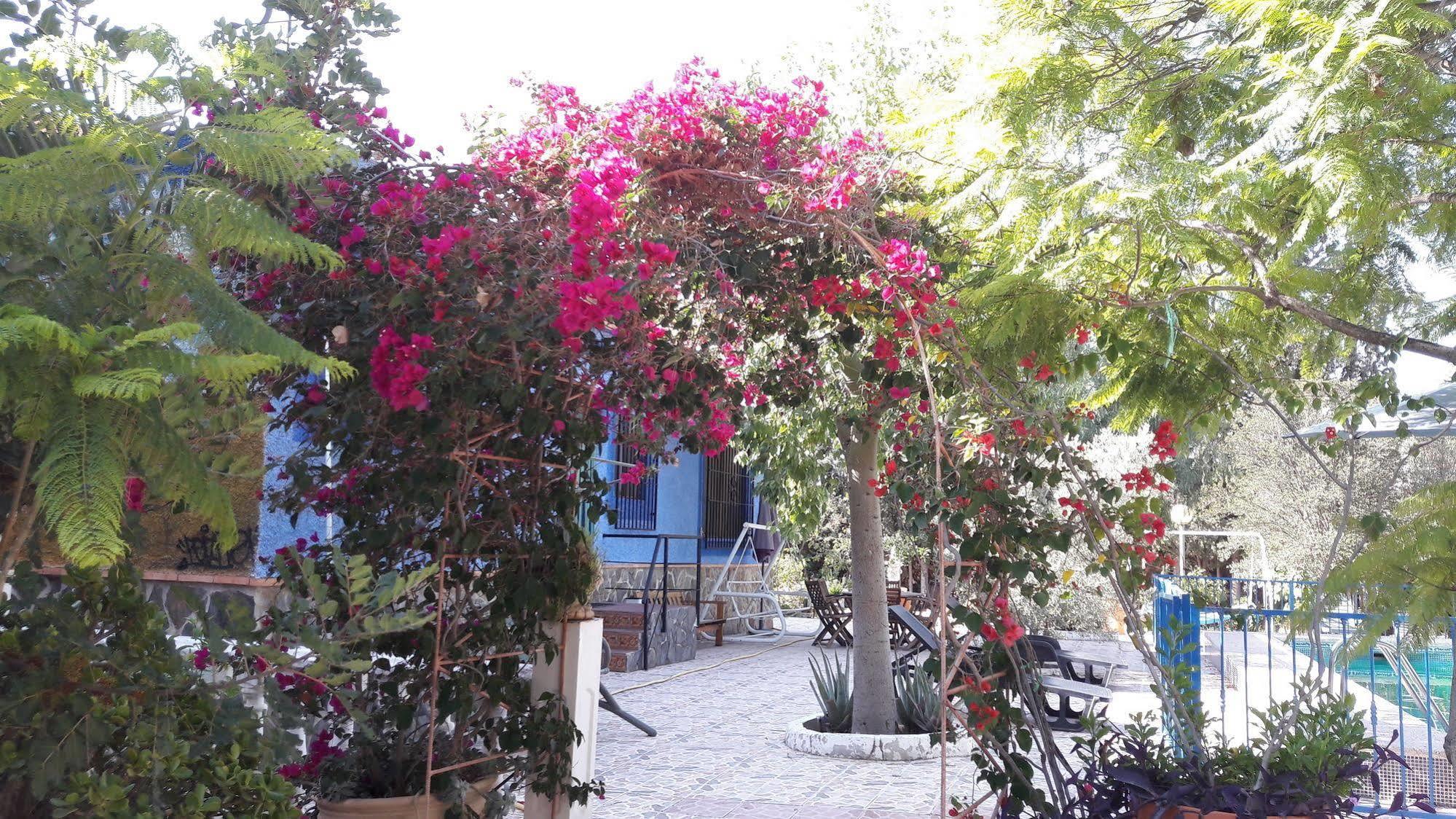 Country house Mi Campo