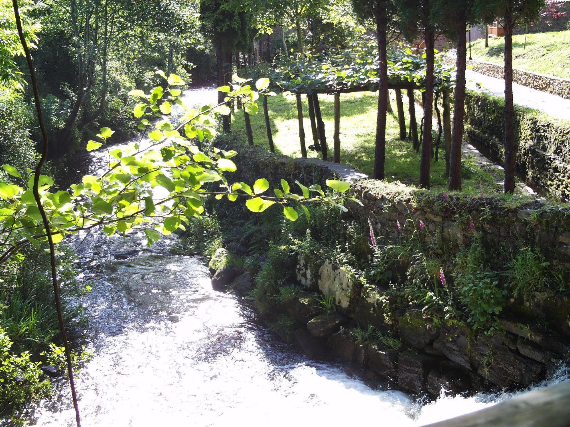 Muiño Cañotas