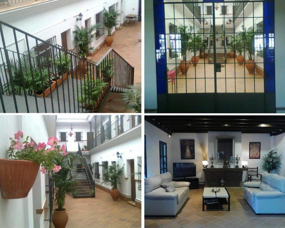 Azul Rural 2*