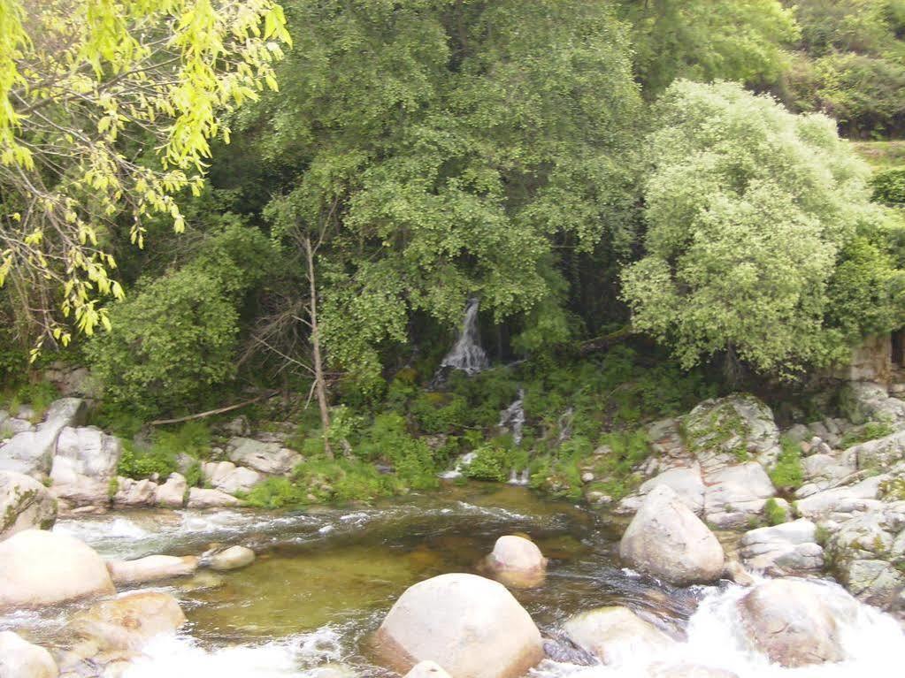 La Garzona