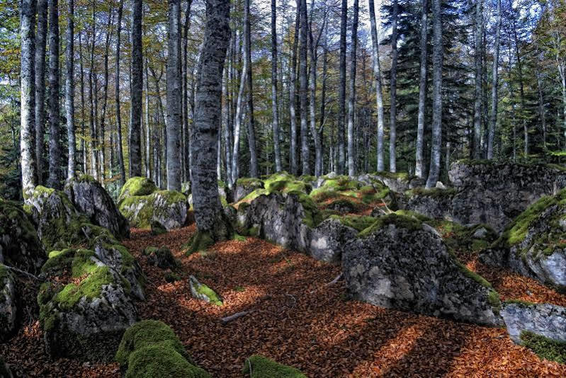 Rural Besaro - Selva De Irati Izalzu