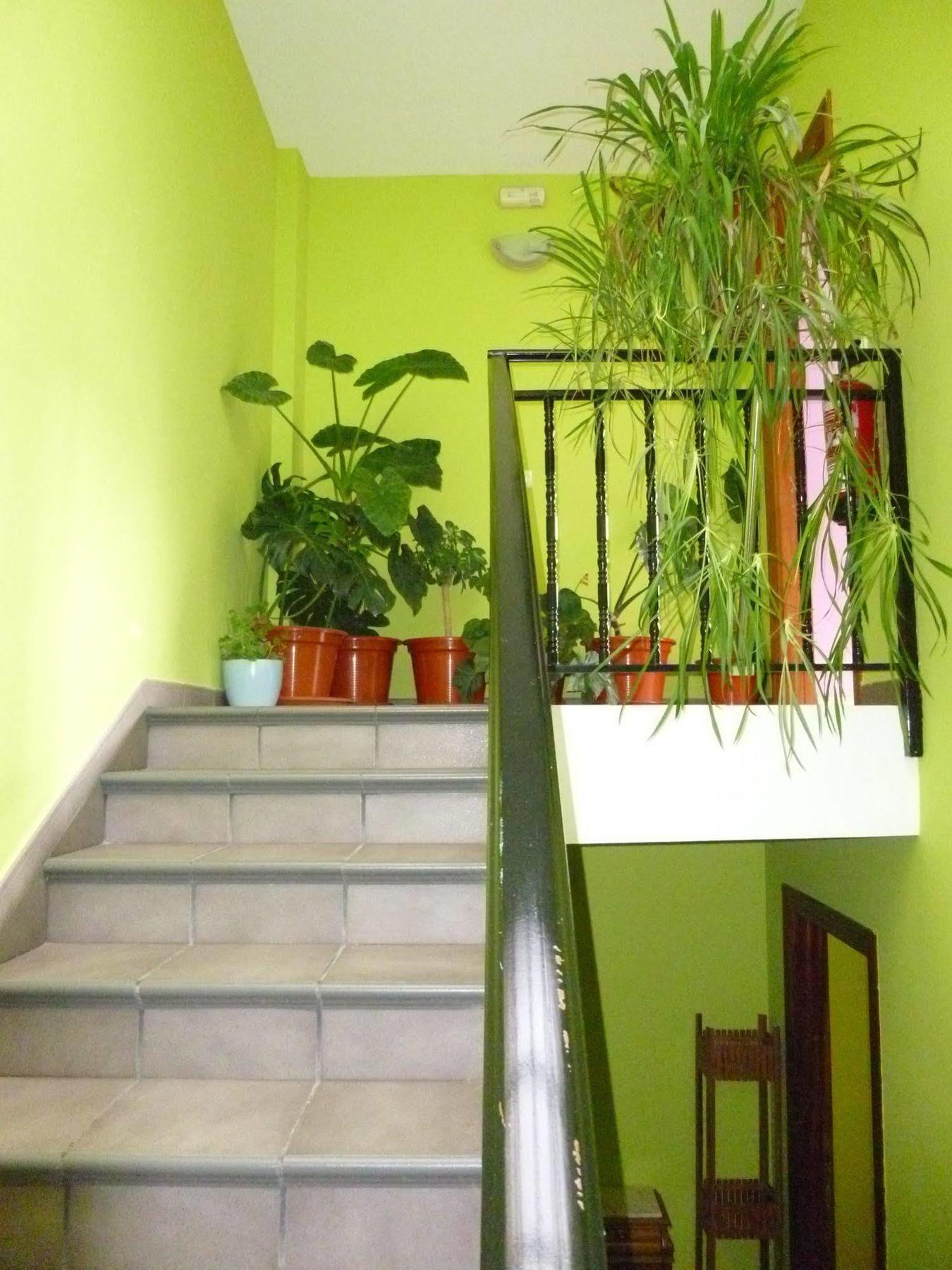 Ciudad De Guest house 2*