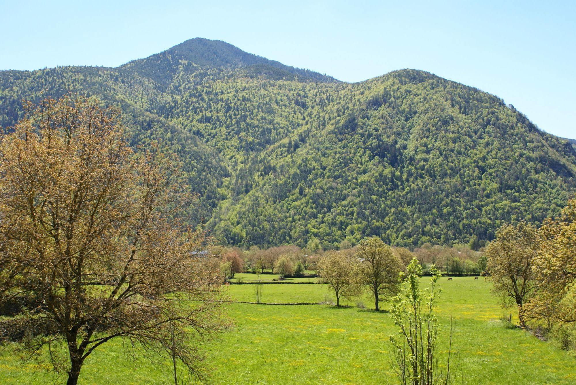 Casa Martin Ordesa Country house *