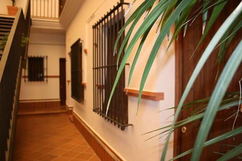 Guest house Azul Rural