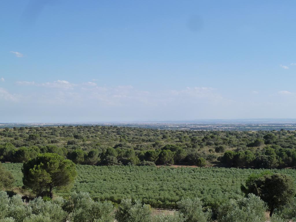 Rural La Moragona Vara Del Rey
