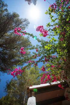 Insotel Club Maryland Hotel Playa de Migjorn