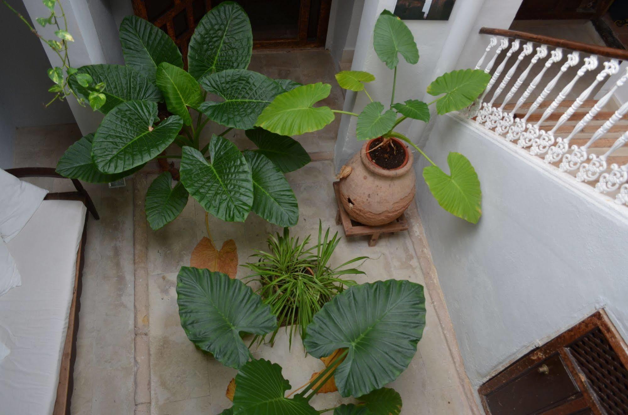Casa Del Renacimiento Hotel