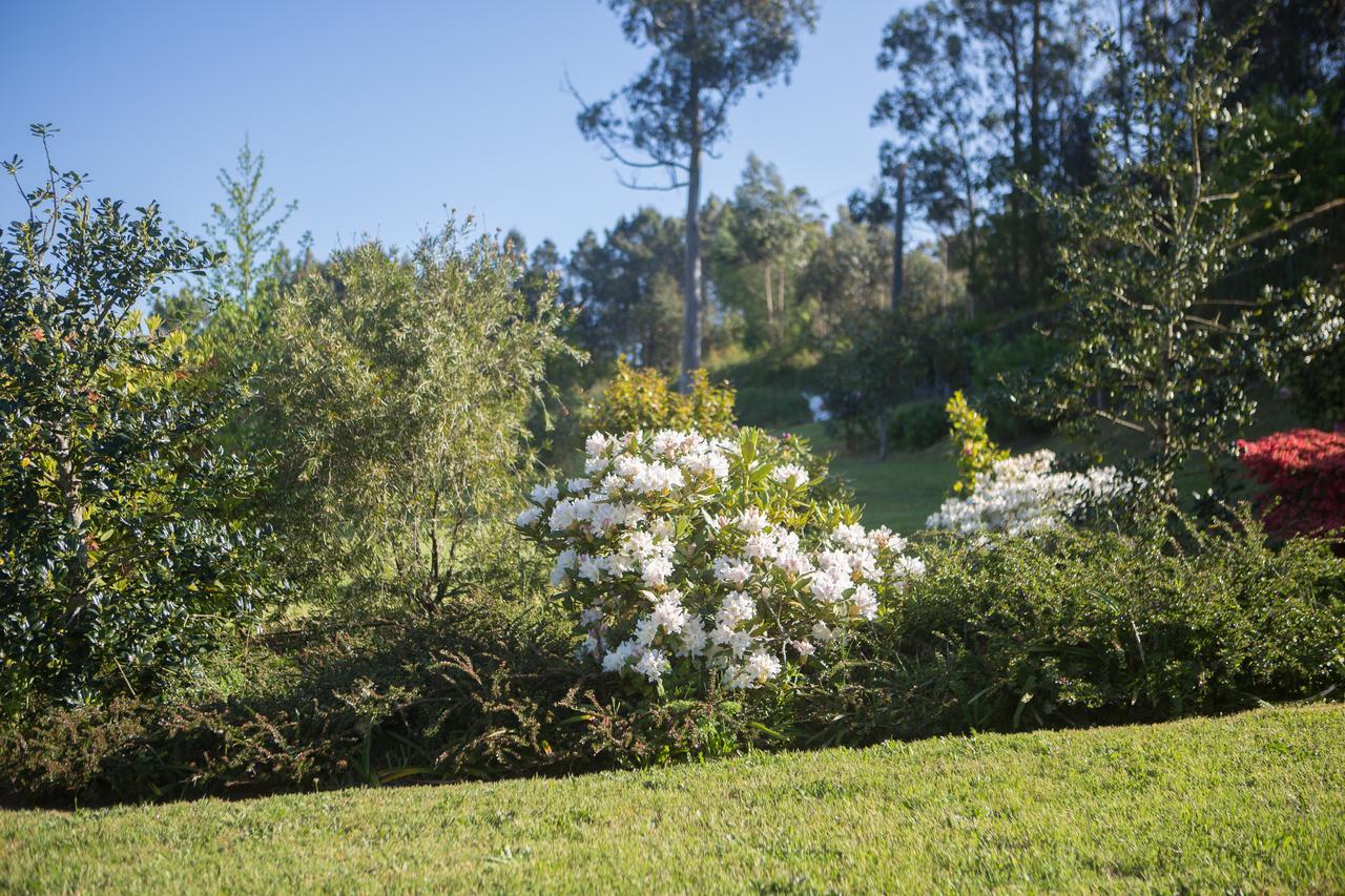 Country house Casa Pineiro