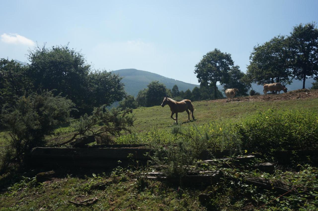 Pazo De Terrafeita
