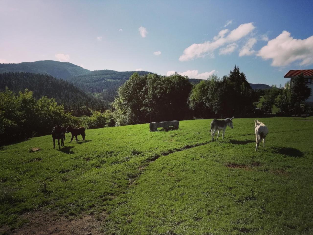 Pagoederraga Farm stay Orio