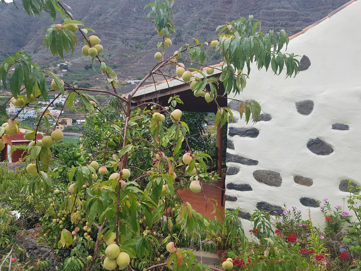 Country house Nuevitas I