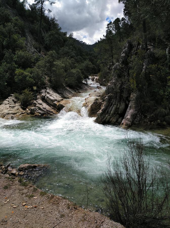 Rural Arroyo La Teja Guest house *