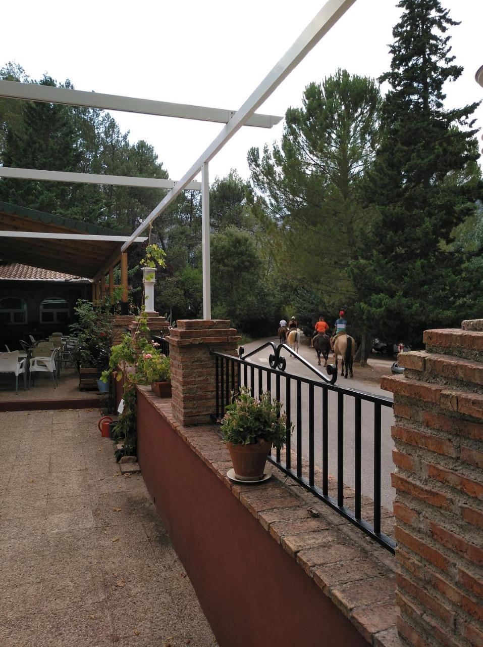 Guest house Rural Arroyo La Teja *