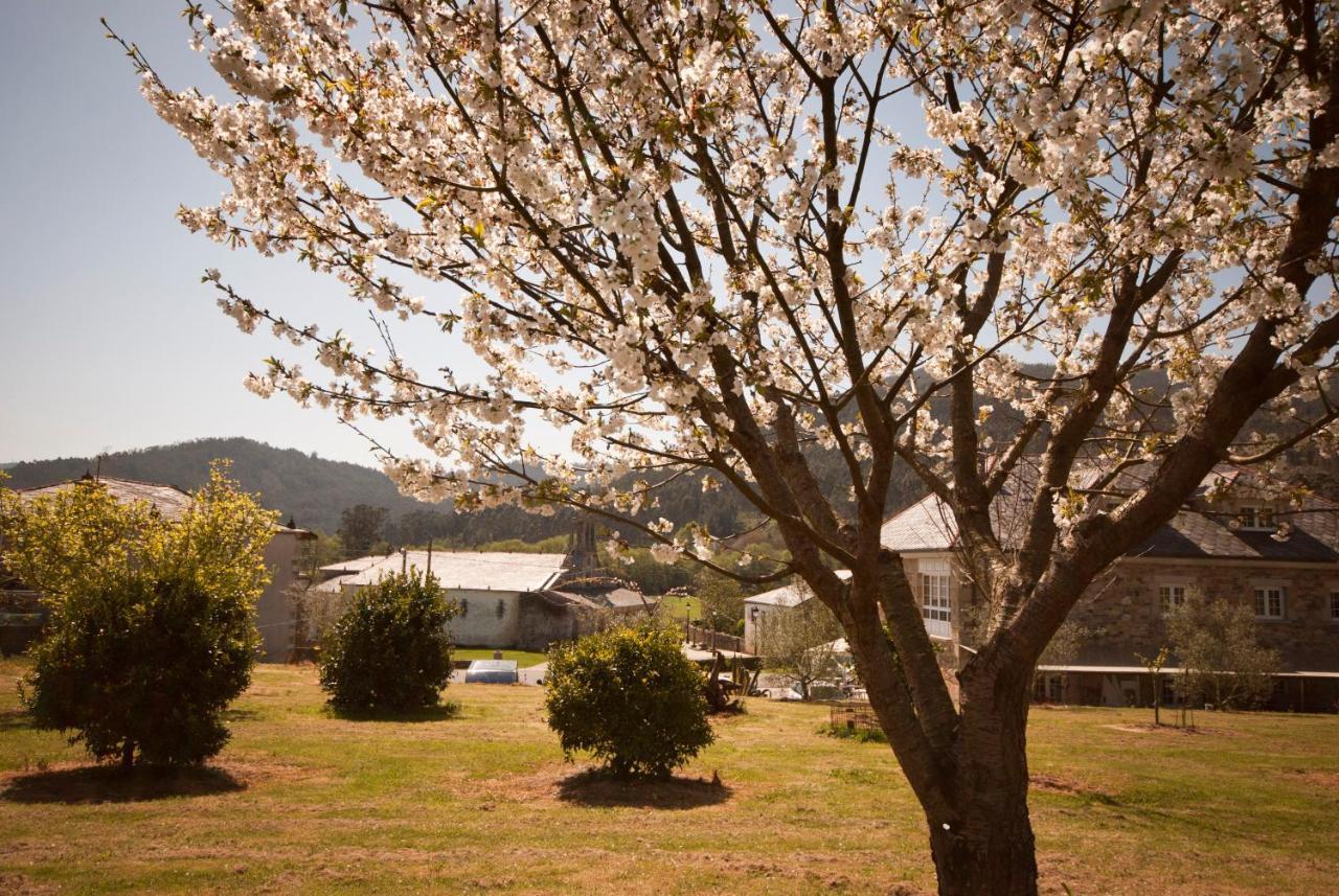 Guest house As Vinas Viveiro