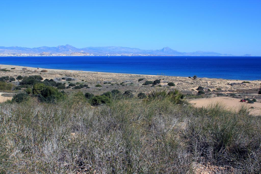 Guest house Pensimar El Altet