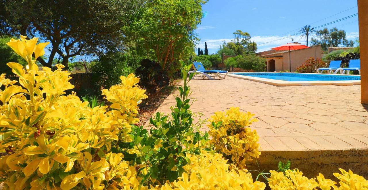 Cova Villa