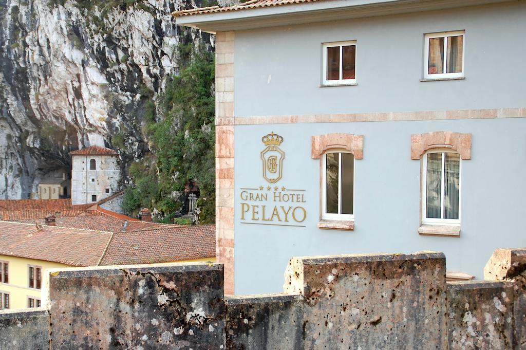 Hotel Arcea Gran Pelayo 4*